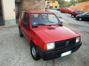 Fiat panda  i.e. cat young