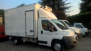 Iveco daily frigo con divisorio