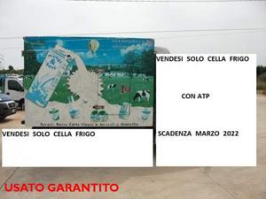 Iveco daily vendesi solo cella frigo-