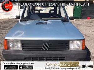 Fiat panda  i.e. cat young