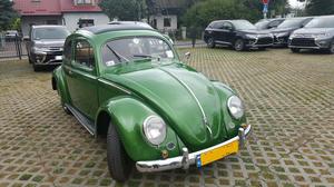 Volkswagen - Maggiolino ovale - 
