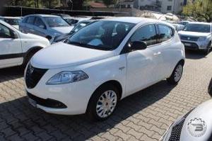 Lancia ypsilon  cv 5 porte elefantino