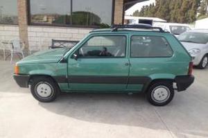 Fiat panda  i.e. cat hobby