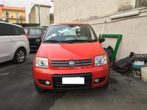 Fiat panda 1.2 4x4 euro 4 tagliandata e garantta