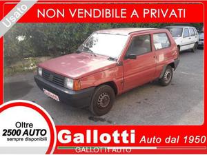 FIAT Panda  i.e. cat Young