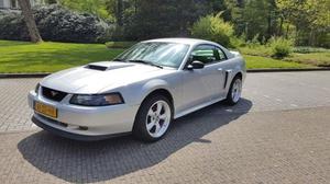 Ford - Mustang Coupe - 