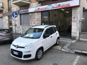 Fiat panda 1.2 pop unico proprietario km 