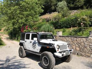 Jeep wrangler unlimited 2.8 crd dpf rubicon