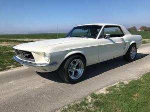 Ford - Mustang Coupe V