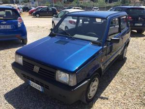 FIAT Panda  i.e. cat Young