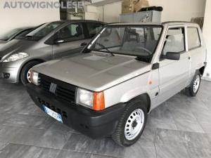 Fiat panda  i.e. cat young