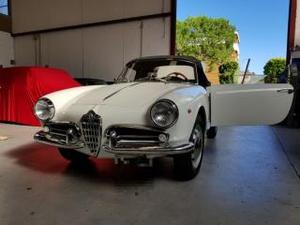 Alfa romeo spider giulietta spider