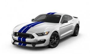 FORD Mustang Shelby GT350 MY V HP !! rif. 