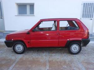 Fiat panda 900 i.e. cat young