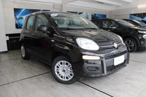 FIAT New Panda CV EASY KM0 rif. 
