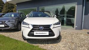 Lexus NX Hybrid 4WD ICON con NAVIGATORE