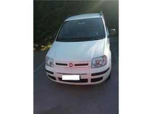 FIAT Panda 1.2 Dynamic BENZINA