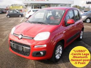 AFFARE - FIAT Panda Bz Nuovo MOD.  LUSSO