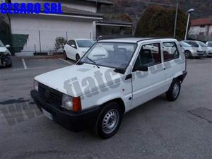 FIAT Panda  i.e. cat Young