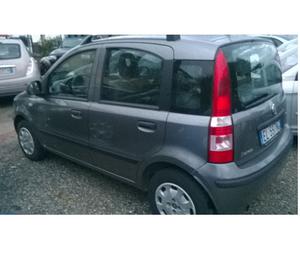 Fiat panda 1.3 mjt 75cv anno 