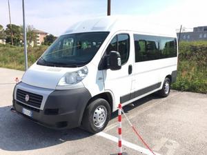 FIAT Ducato  MJT 9 Posti Tetto Alto/Lungo! 2 unita!