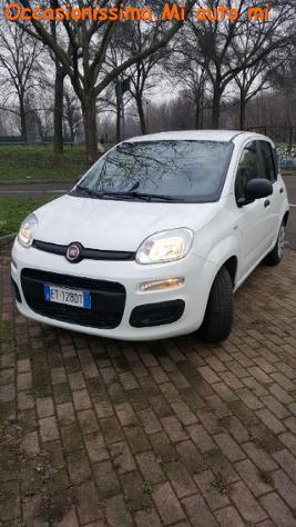 FIAT Panda 1.2 Pop rif. 