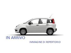 Fiat Panda 1.2 Lounge 69CV CLIMA 5 Posti OK NEOP IN ARRIVO