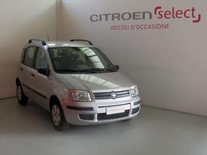 FIAT Panda Panda 1.2 Dynamic