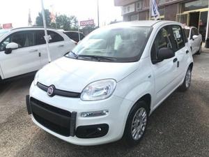 FIAT Panda 1.2 Easy Plus Nuova - Km0 rif. 