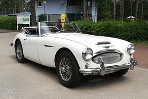 Austin Healey -  MkII BJ