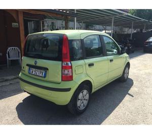 Fiat Panda  benzina 54 cv 5 porte neopatentati