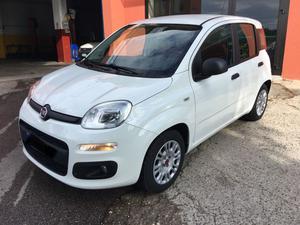 Fiat Panda 1.2 Easy Gpl della casa pari al nuovo