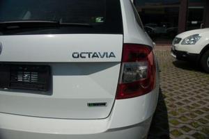 SKODA Octavia 1.6 TDI 115 CV Wagon 4x4 Style 3&ordf; serie