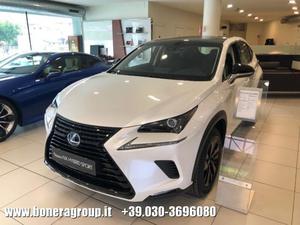 LEXUS NX 300h Hybrid 4WD Sport MY18 rif. 