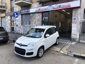 FIAT Panda 1.2 Easy BLEUTOOTH AUTORADIO U CONNET 5 POSTO