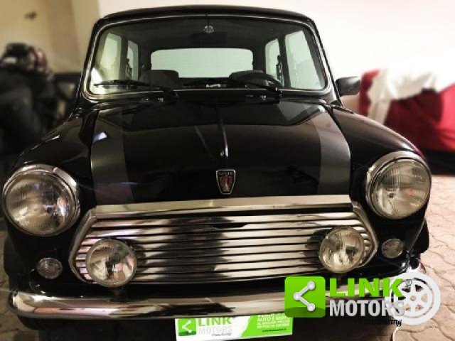 Rover Mini Mayfair cat